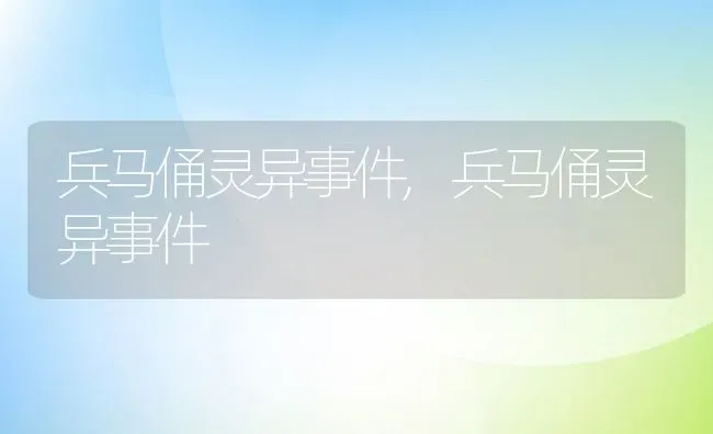 兵马俑灵异事件,兵马俑灵异事件 | 养殖常见问题