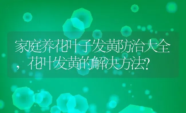 家庭养花叶子发黄防治大全,花叶发黄的解决方法？ | 养殖常见问题