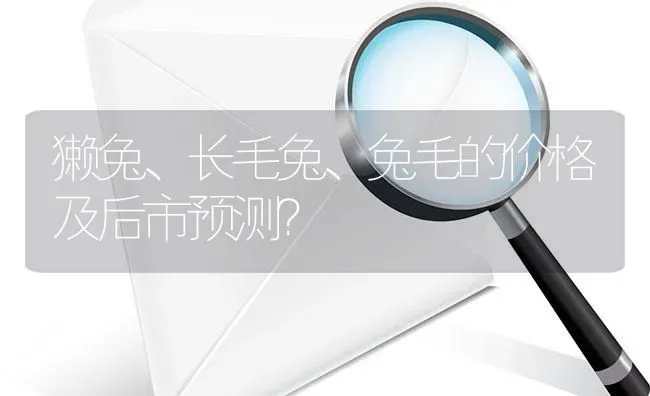 獭兔、长毛兔、兔毛的价格及后市预测? | 养殖问题解答