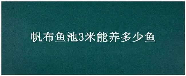 帆布鱼池3米能养多少鱼 | 科普知识