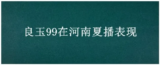 良玉99在河南夏播表现 | 农业问题