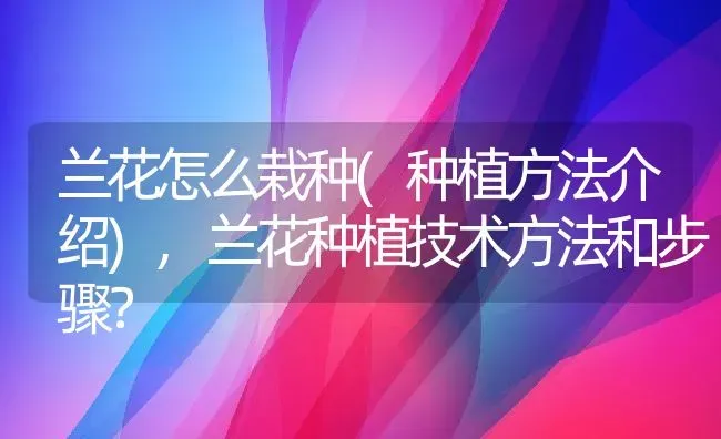 兰花怎么栽种(种植方法介绍),兰花种植技术方法和步骤？ | 养殖常见问题