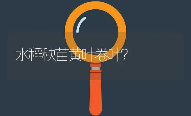 水稻秧苗黄叶卷叶? | 养殖问题解答