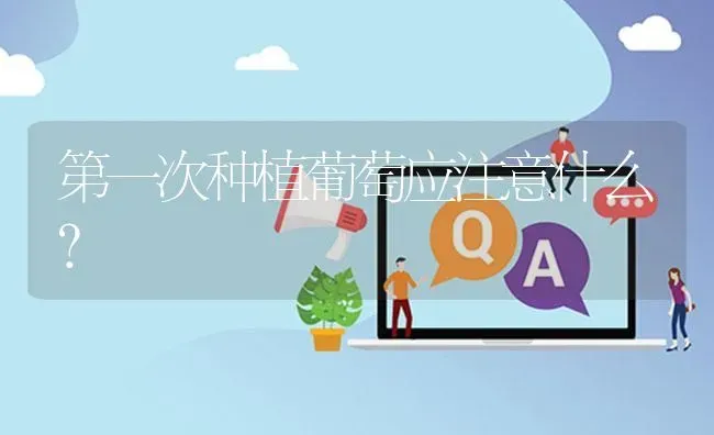 第一次种植葡萄应注意什么? | 养殖问题解答