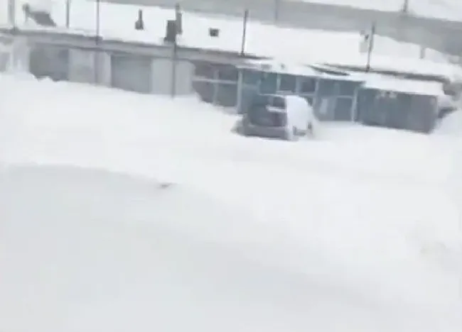植物常识问题|内蒙古通辽降雪46小时积雪深度破纪录 火车“破雪”前行