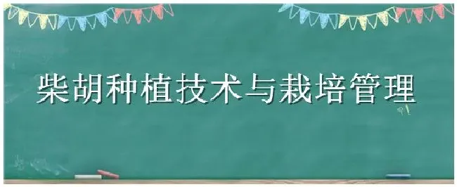 柴胡种植技术与栽培管理 | 农业答疑