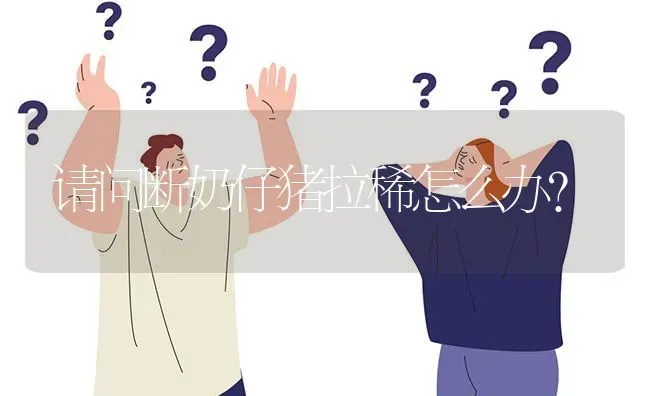 请问断奶仔猪拉稀怎么办? | 养殖问题解答