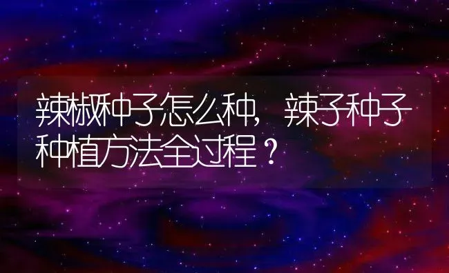 辣椒种子怎么种,辣子种子种植方法全过程？ | 养殖常见问题