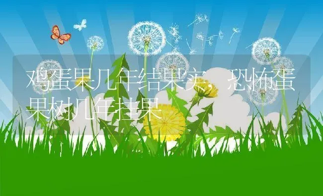 鸡蛋果几年结果实,恐怖蛋果树几年挂果 | 养殖常见问题