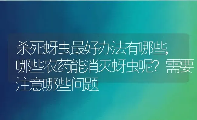 杀死蚜虫最好办法有哪些,哪些农药能消灭蚜虫呢？需要注意哪些问题 | 养殖常见问题