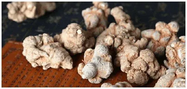 三七剪口跟不剪口的区别 | 三农答疑