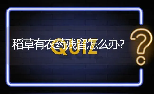 稻草有农药残留怎么办? | 养殖问题解答