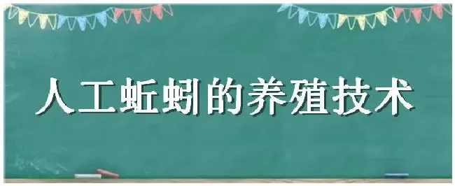 人工蚯蚓的养殖技术 | 农业答疑