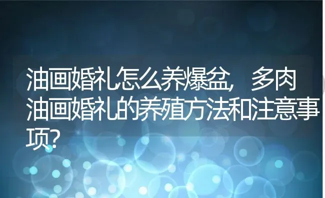 油画婚礼怎么养爆盆,多肉油画婚礼的养殖方法和注意事项？ | 养殖常见问题