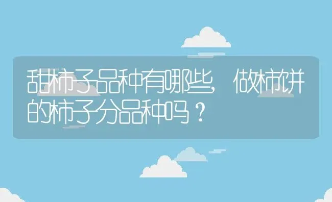 甜柿子品种有哪些,做柿饼的柿子分品种吗？ | 养殖常见问题