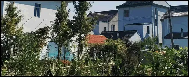羊排多少钱一斤 | 科普知识