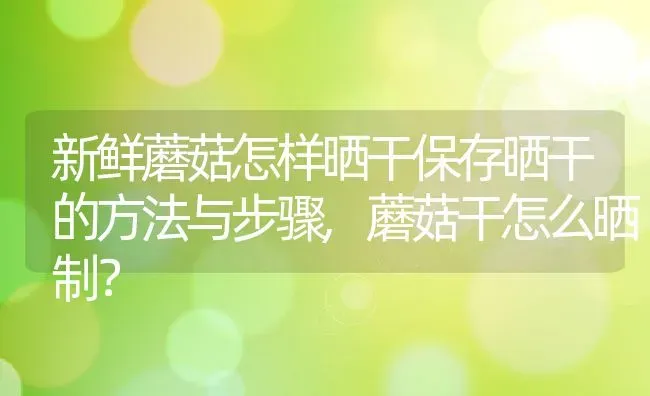 新鲜蘑菇怎样晒干保存晒干的方法与步骤,蘑菇干怎么晒制？ | 养殖常见问题