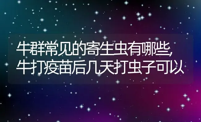 牛群常见的寄生虫有哪些,牛打疫苗后几天打虫子可以 | 养殖常见问题