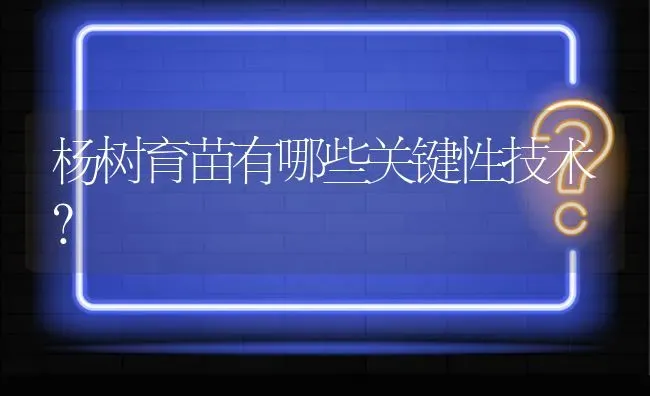 杨树育苗有哪些关键性技术? | 养殖问题解答