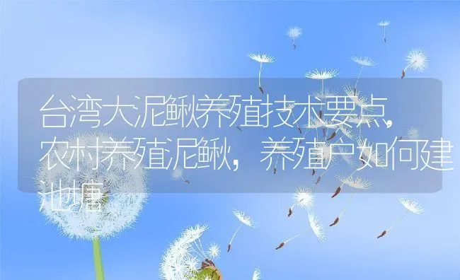 台湾大泥鳅养殖技术要点,农村养殖泥鳅，养殖户如何建池塘 | 养殖常见问题