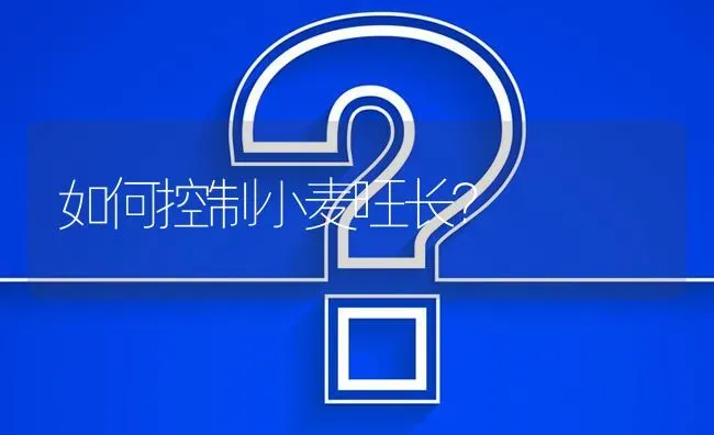 如何控制小麦旺长? | 养殖问题解答