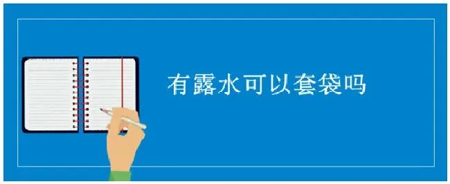 有露水可以套袋吗 | 农业常识