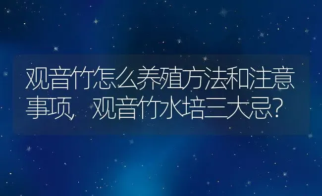 观音竹怎么养殖方法和注意事项,观音竹水培三大忌？ | 养殖常见问题