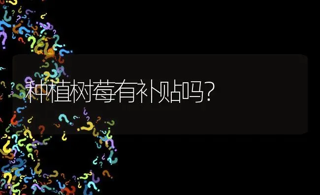 种植树莓有补贴吗? | 养殖问题解答