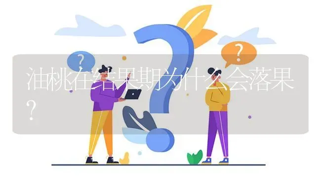 油桃在结果期为什么会落果? | 养殖问题解答