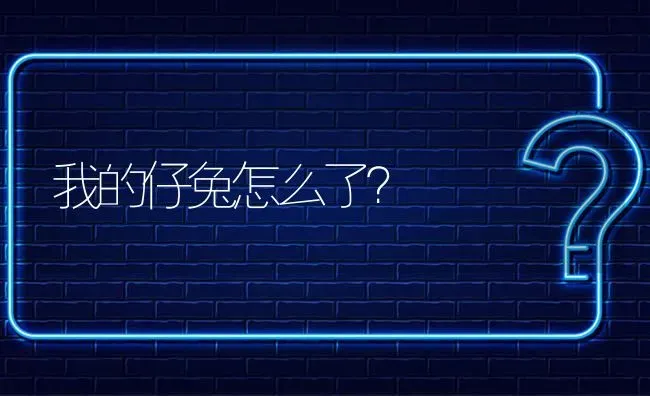 我的仔兔怎么了? | 养殖问题解答