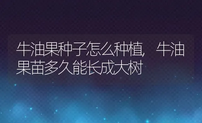 四季桔怎么养,四季桔盆栽养殖方法？ | 养殖常见问题