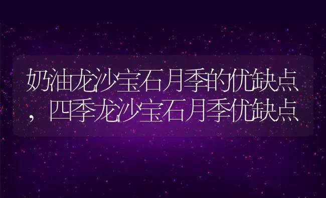 奶油龙沙宝石月季的优缺点,四季龙沙宝石月季优缺点 | 养殖常见问题