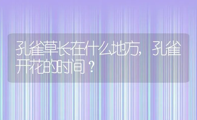 孔雀草长在什么地方,孔雀开花的时间？ | 养殖常见问题