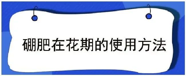 硼肥在花期的使用方法 | 农业常识