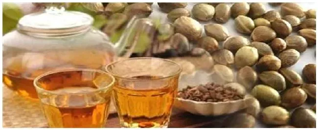 三高喝什么茶 | 科普知识