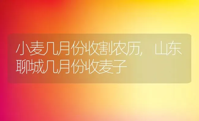 小麦几月份收割农历,山东聊城几月份收麦子 | 养殖常见问题