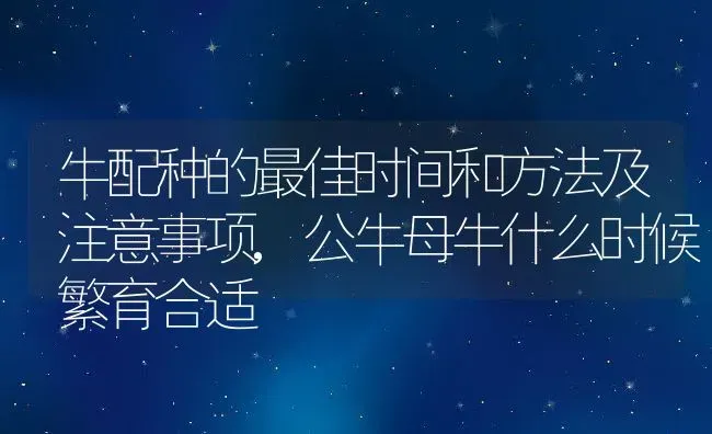 牛配种的最佳时间和方法及注意事项,公牛母牛什么时候繁育合适 | 养殖常见问题