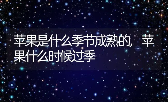 苹果是什么季节成熟的,苹果什么时候过季 | 养殖常见问题