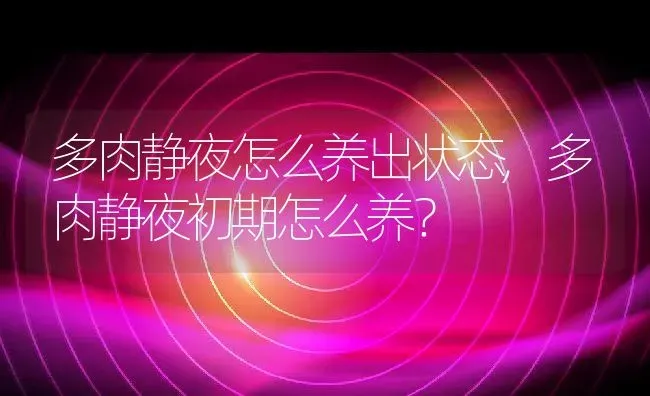 多肉静夜怎么养出状态,多肉静夜初期怎么养？ | 养殖常见问题