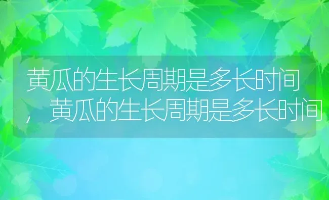 黄瓜的生长周期是多长时间,黄瓜的生长周期是多长时间 | 养殖常见问题