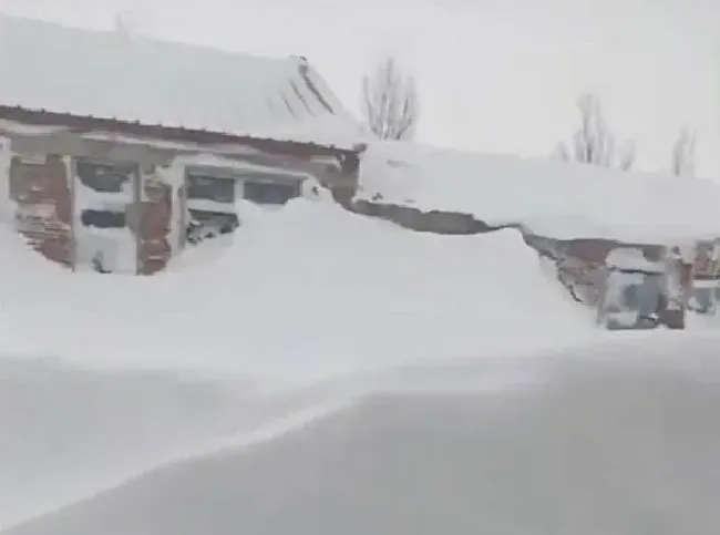 植物常识问题|内蒙古通辽降雪46小时积雪深度破纪录 火车“破雪”前行