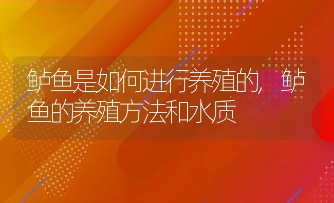 鲈鱼是如何进行养殖的,鲈鱼的养殖方法和水质 | 养殖常见问题