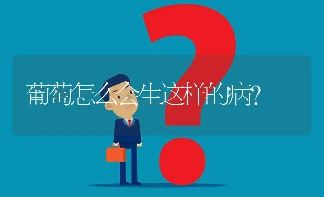 葡萄怎么会生这样的病? | 养殖问题解答