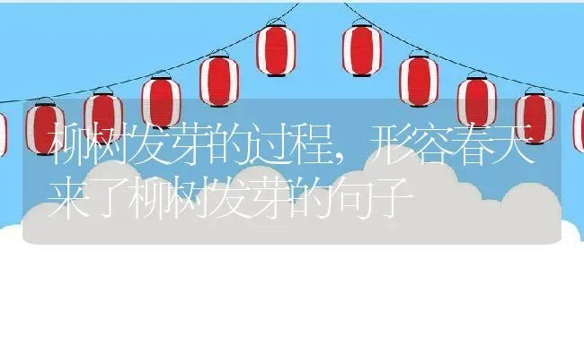 柳树发芽的过程,形容春天来了柳树发芽的句子 | 养殖常见问题