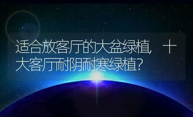 适合放客厅的大盆绿植,十大客厅耐阴耐寒绿植？ | 养殖常见问题