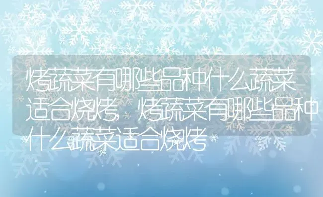 烤蔬菜有哪些品种什么蔬菜适合烧烤,烤蔬菜有哪些品种什么蔬菜适合烧烤 | 养殖常见问题