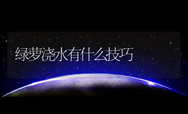 绿萝浇水有什么技巧 | 养殖常见问题