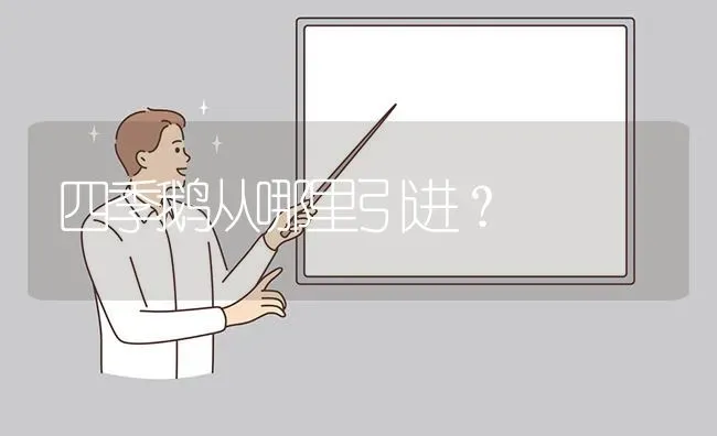 四季鹅从哪里引进? | 养殖问题解答
