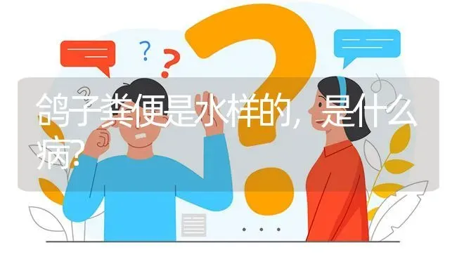 鸽子粪便是水样的,是什么病? | 养殖问题解答