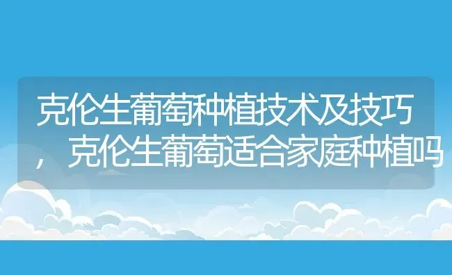 克伦生葡萄种植技术及技巧,克伦生葡萄适合家庭种植吗 | 养殖常见问题